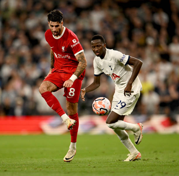 的可行性 的可行性